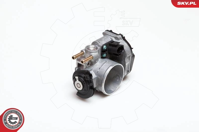 Throttle Body